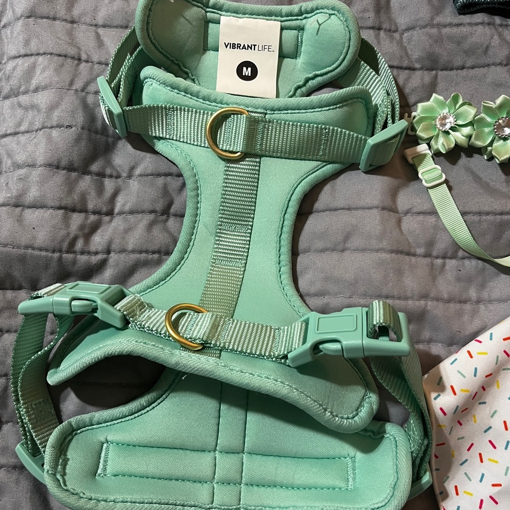 Dog Accessory bundle - Medium Size - Picture 7 of 9